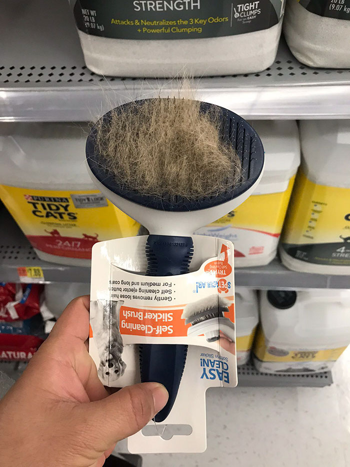 A Customer Tried It On Their Dog And Put It Back On The Shelf
