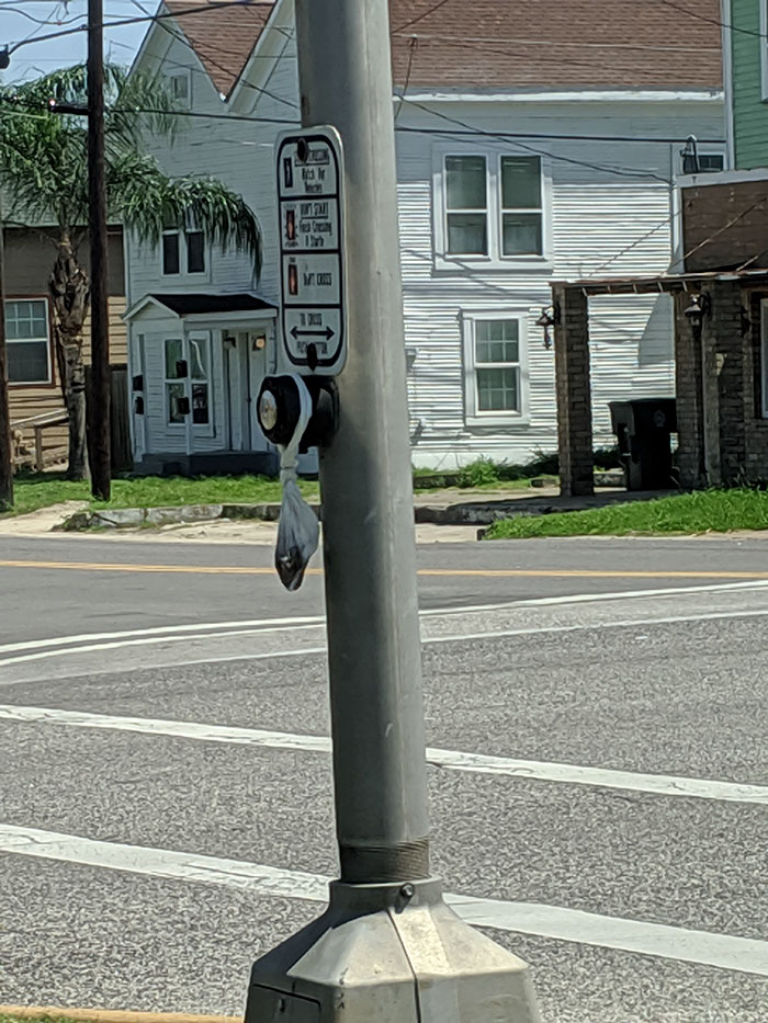 Someone Tied A Bag O' Dog [poop] To This Crosswalk Button
