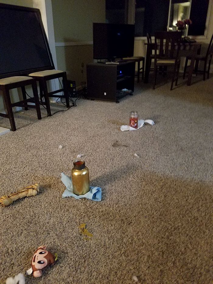 I Asked My Roomate Why There Were 2 Candles On Our Carpet. Apparently Her Dog Puked And She Didn't Have "Time" To Clean It
