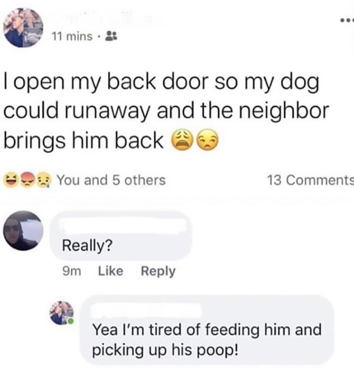 Woman Gets Tired Of Caring For Dog So Decides To Let It Run Away. Becomes Upset When Neighbor Brings The Dog Back