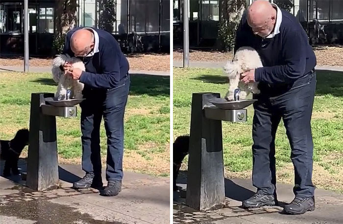 Este hombre le lava el trasero a su perro en una fuente para beber. Se negó a parar a pesar de que la gente disgustada se lo pidió