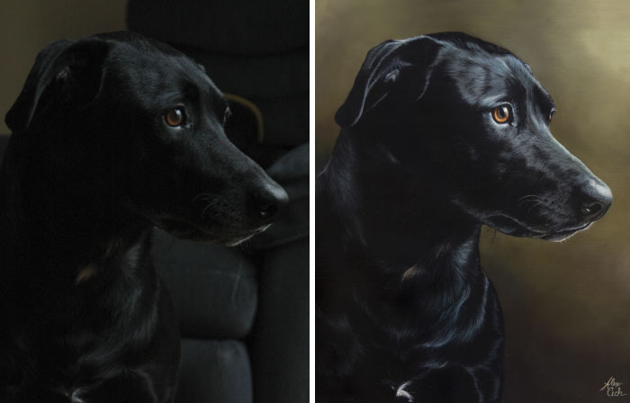I Paint Pets From Photos, Here Are 13 Of My Favorite Before And Afters