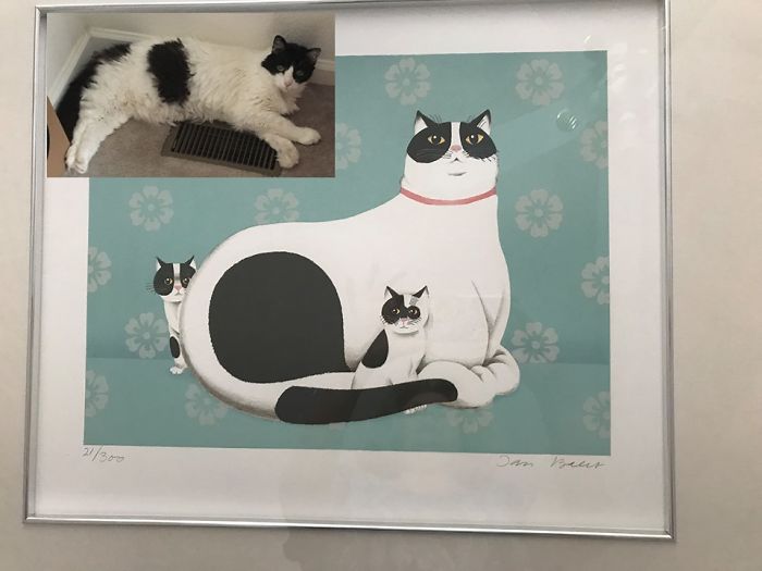 Two Months Ago, My 20 Year Old Kitty Passed Away. After All Those Years, I've Been Heartbroken. Yesterday I Went Downtown To The Salvation Army Store And Found This Gem. I Pasted My Kitty's Photo In The Image So You Can See How Amazing This Is. I Mean. It Is Her!