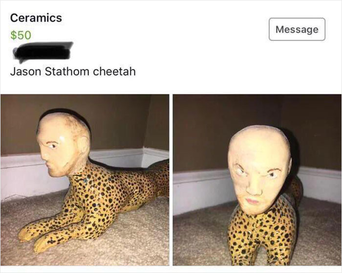Jason Stathom Cheetah