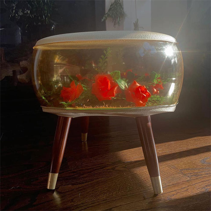 My 1960s Inflatable Terrarium Stool Dreams Just Came True Thnx To My Dedicated Vintage Furniture Sleuthing Boyfriend