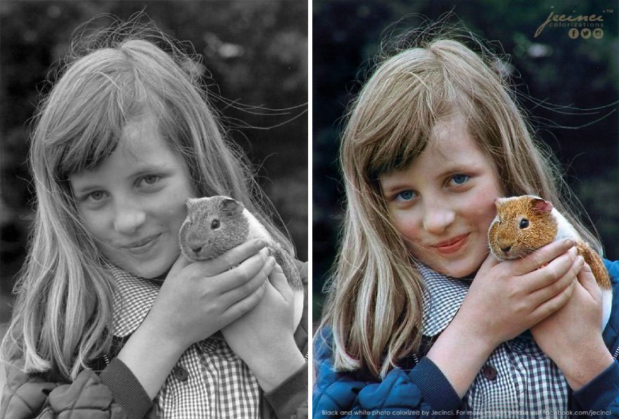 Young Princess Diana With Her Guinea Pig Peanuts At The Sandringham Pet Show, 1972
