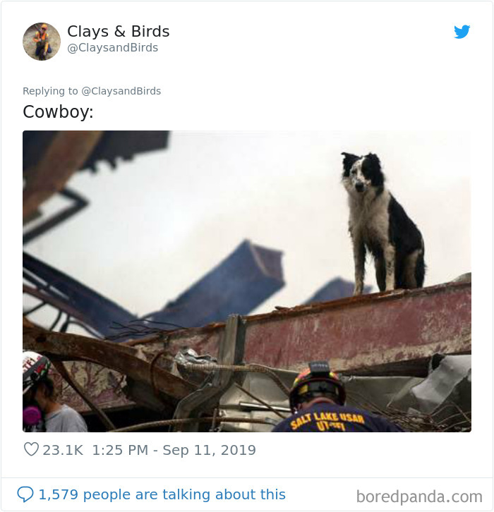 Person Honors The Dog Heroes Of 9/11 That Are Often Overlooked In A Beautifully Sad Twitter Thread