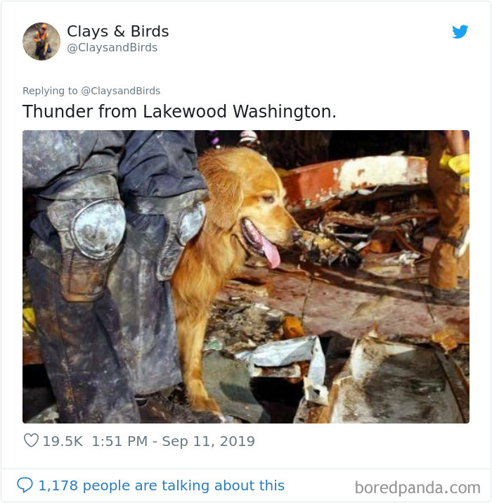 Person Honors The Dog Heroes Of 9/11 That Are Often Overlooked In A Beautifully Sad Twitter Thread