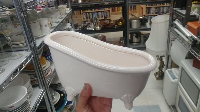 I'm Putting A Plant In This Tiny Bathtub When I Get Home
