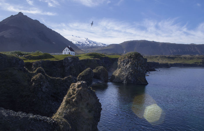 Coastal landscape in Iceland with rocky cliffs, a white house, mountains, and a bird flying over calm water.