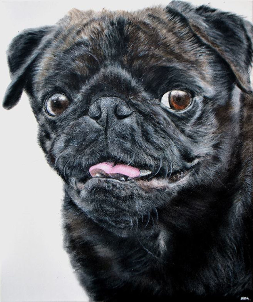Graffiti Artist Paints Photo Realistic Portraits Of Dogs Graffiti Artist Paints Photo Realistic Portraits Of Dogs