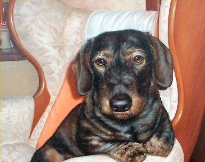 Digby Dachshund Captured In Oil