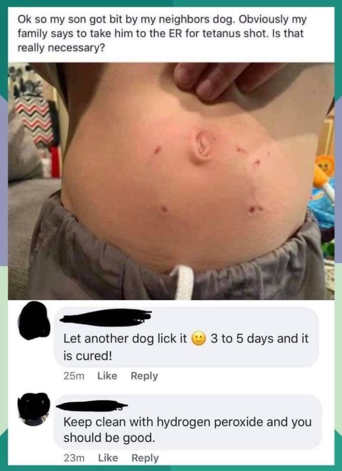 Let Another Dog Lick It