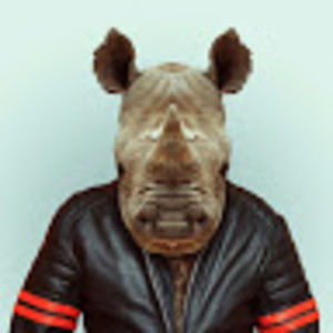 ruipedrosilva avatar