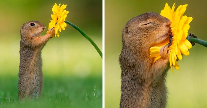 Photographer Captures The Precious Moments Of What Happens In Nature When  No One's Around (30 Pics) | Bored Panda