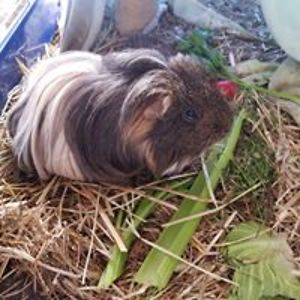 karinmatters59 avatar