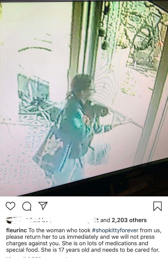 This Woman Who Stole The Shop Cat From A Local Flower Shop