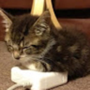 margaretoleary avatar