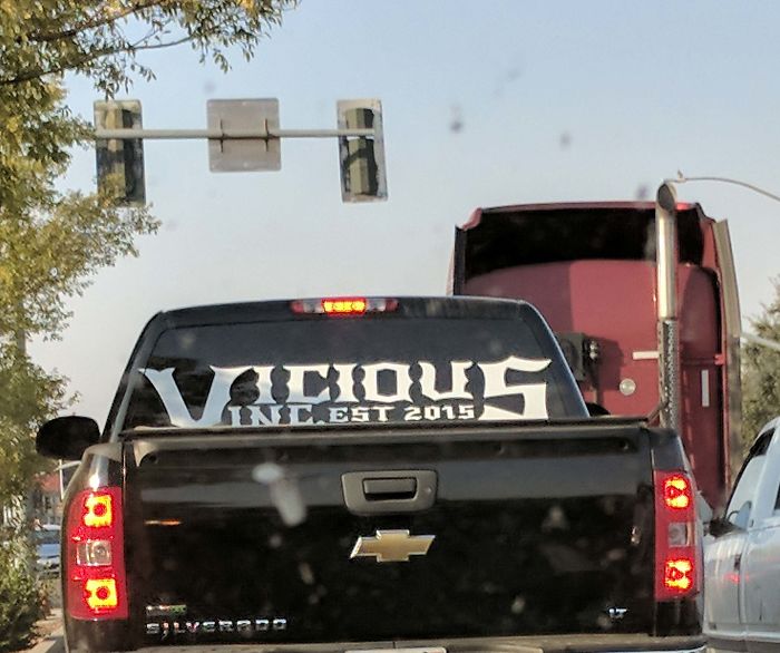 Vicious Inc... What?!