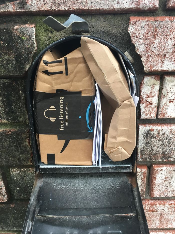 This Is How Our Mail Person Chose To Deliver Our Packages Today