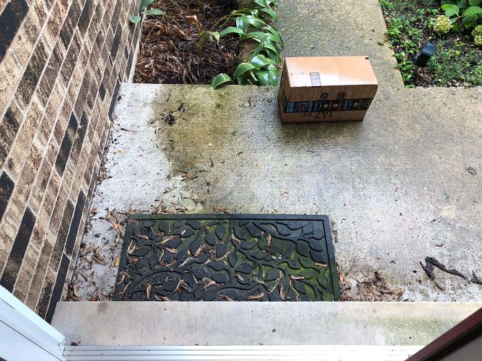 It Was Raining When It Was Delivered But Still Couldn’t Put It In The Dry Spot