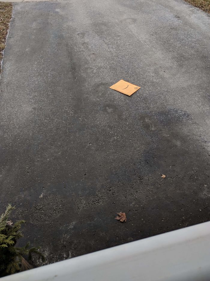 The Way My Package Was Delivered