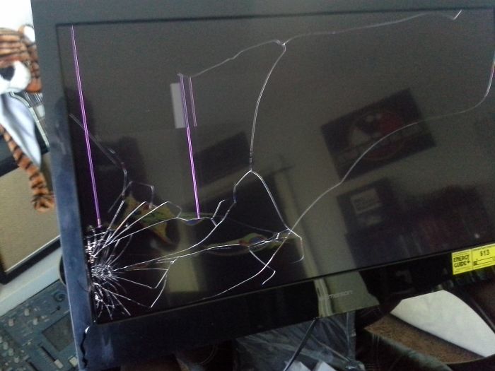 So FedEx Delivered My New TV ..