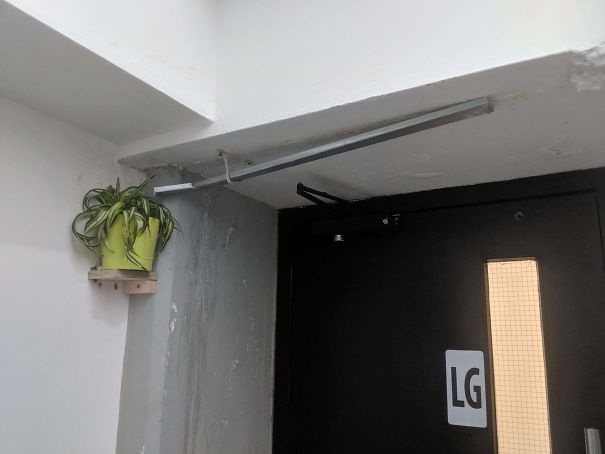 Someone In My Office Noticed A Leak In The Ceiling And Instead Of Fixing It, They Mounted A Small Shelf On The Wall, Put A Plant On It And Then Used The Leak To Water It