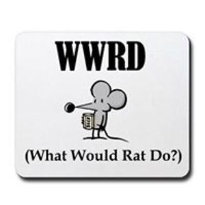 snakebehindme9 avatar