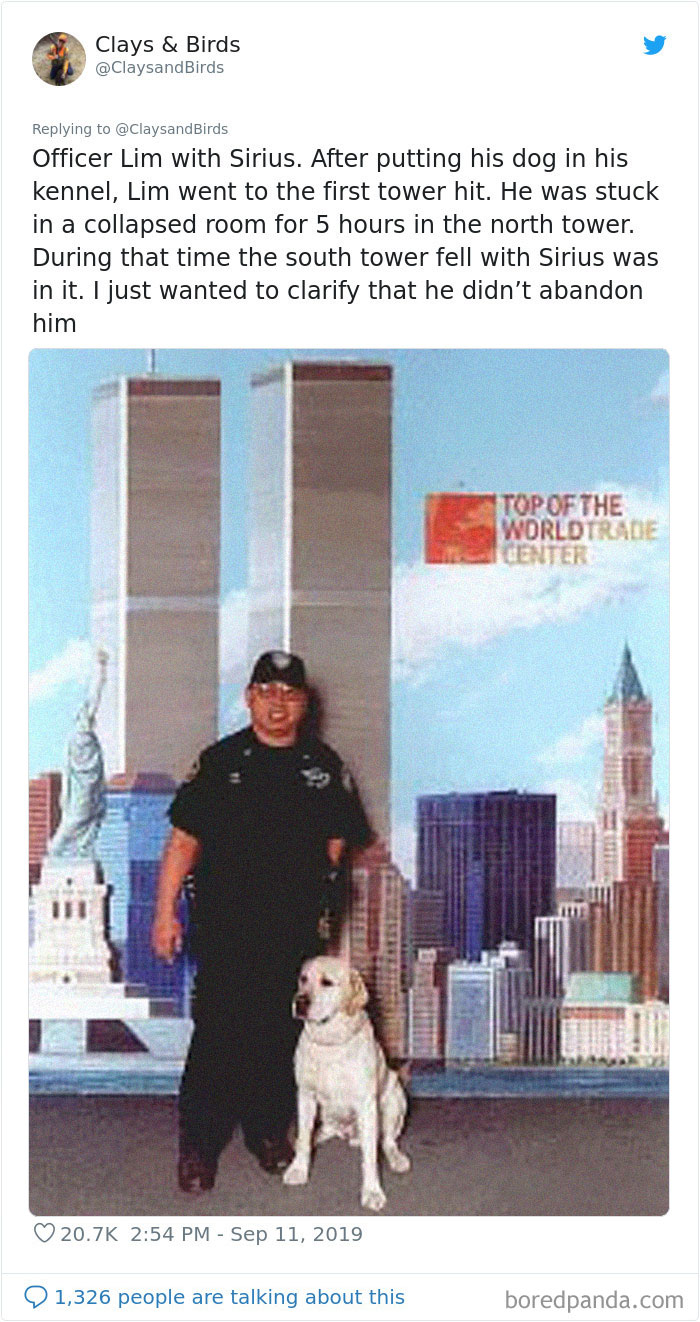 Person Honors The Dog Heroes Of 9/11 That Are Often Overlooked In A  Beautifully Sad Twitter Thread | Bored Panda