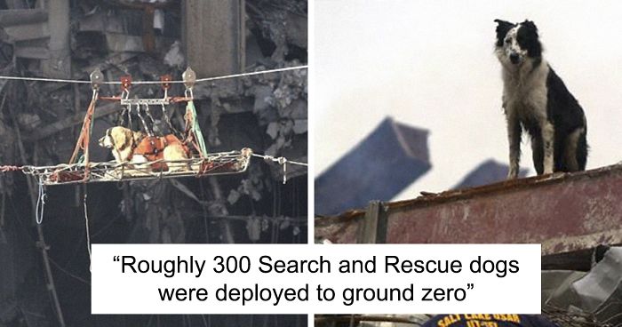 Animals | Bored Panda