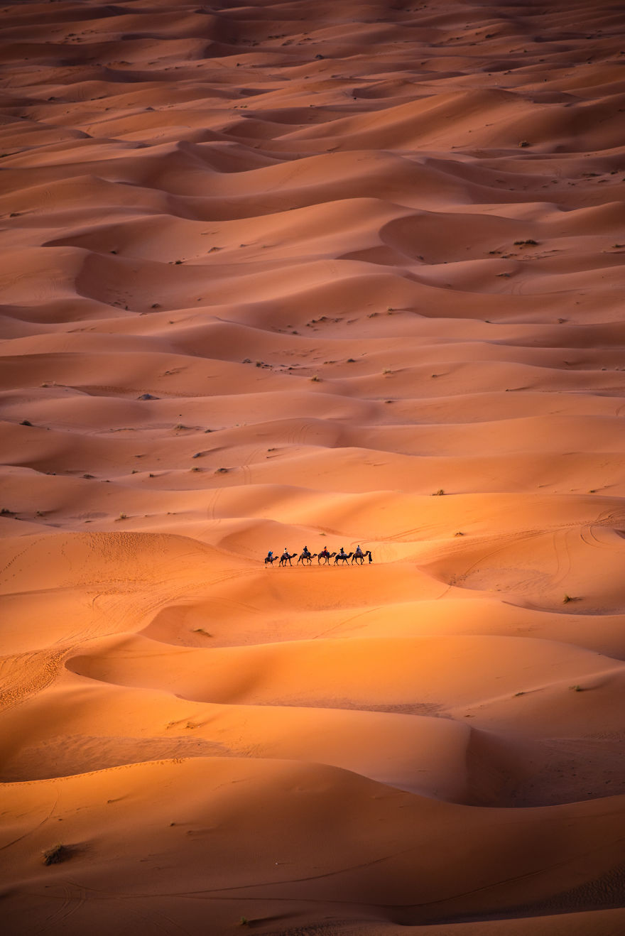 Alone in the desert by carlesalonsophotography Spain Carles AlonsoAGORA images 5d6fc5f584b46  880 - As imagens mais inacreditavelmente incríveis de 2019