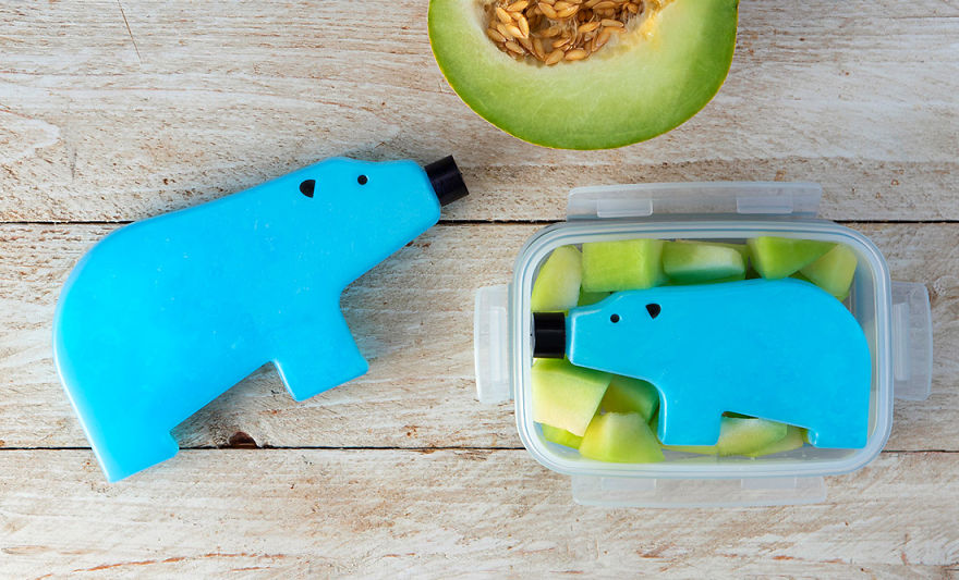I Have A Bear In My Lunchbox, And He Just Got Out Of My Freezer!