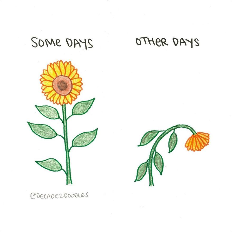 Yesterday I Had A Droopy Sunflower Day. Hoping Today Is A Tall Sunflower One