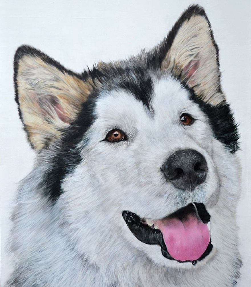Graffiti Artist Paints Photo Realistic Portraits Of Dogs Graffiti Artist Paints Photo Realistic Portraits Of Dogs