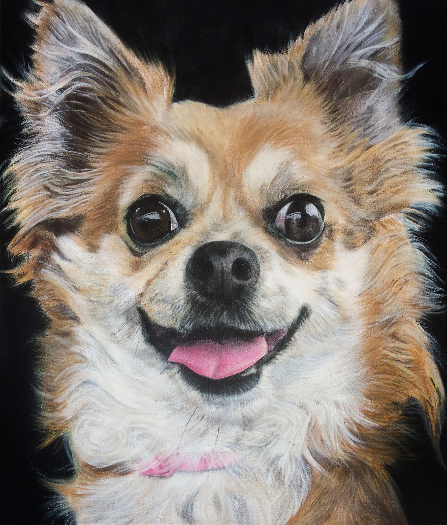 Graffiti Artist Paints Photo Realistic Portraits Of Dogs Graffiti Artist Paints Photo Realistic Portraits Of Dogs