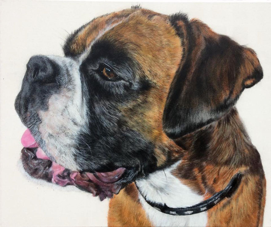 Graffiti Artist Paints Photo Realistic Portraits Of Dogs Graffiti Artist Paints Photo Realistic Portraits Of Dogs