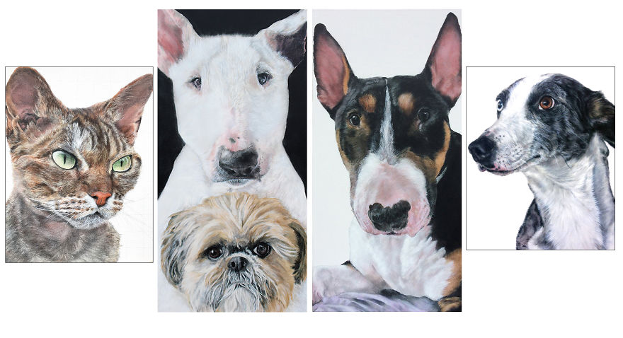 Graffiti Artist Paints Photo Realistic Portraits Of Dogs Graffiti Artist Paints Photo Realistic Portraits Of Dogs