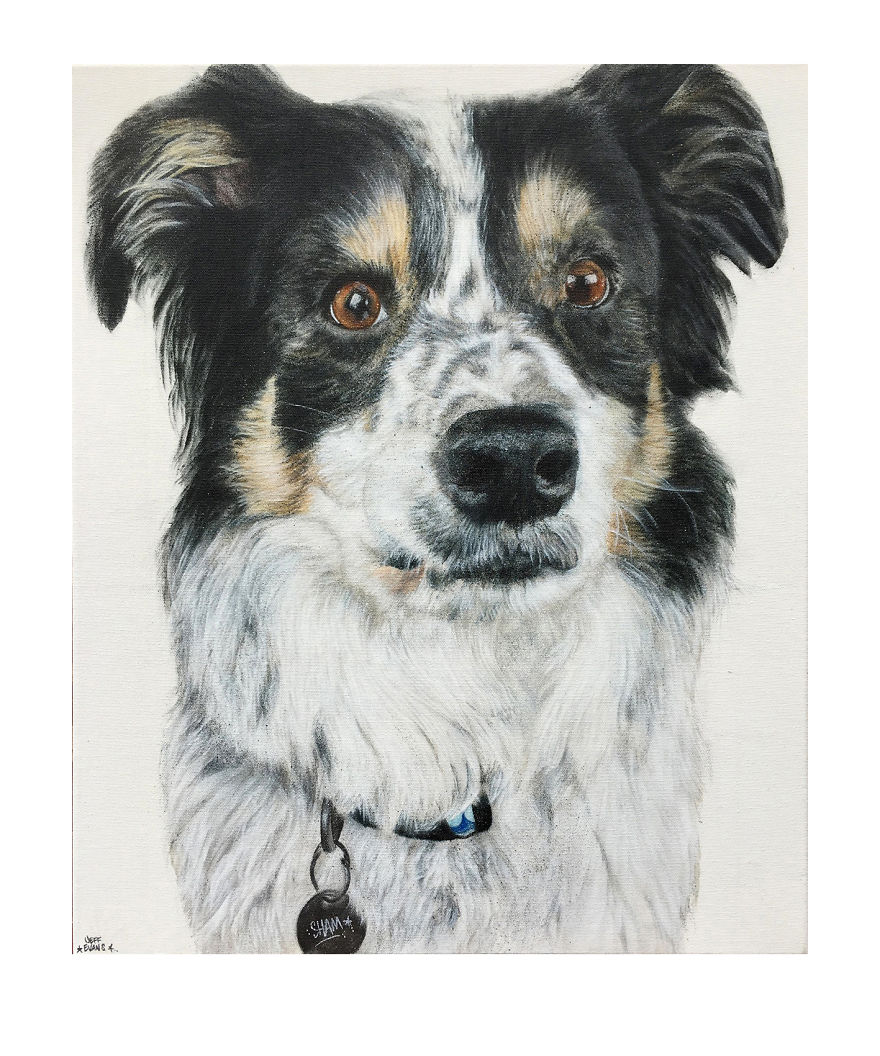 Graffiti Artist Paints Photo Realistic Portraits Of Dogs Graffiti Artist Paints Photo Realistic Portraits Of Dogs