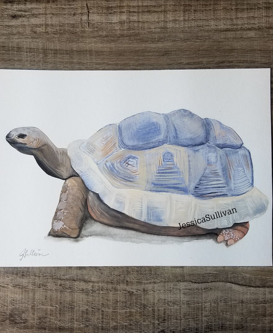I Paint From Nature In My Spare Time As A Sahm. I Paint From Nature In My Spare Time As A Sahm.