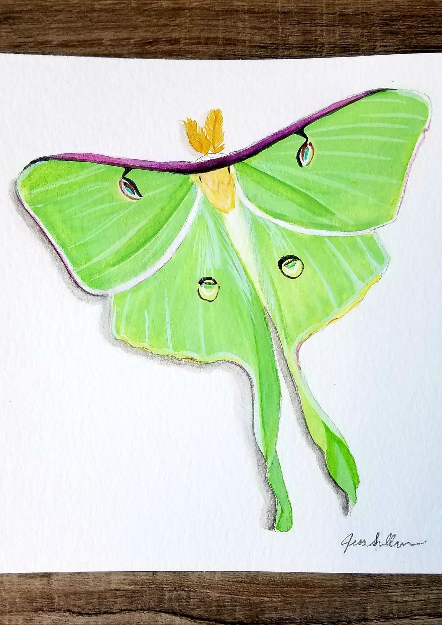 I Paint From Nature In My Spare Time As A Sahm. I Paint From Nature In My Spare Time As A Sahm.