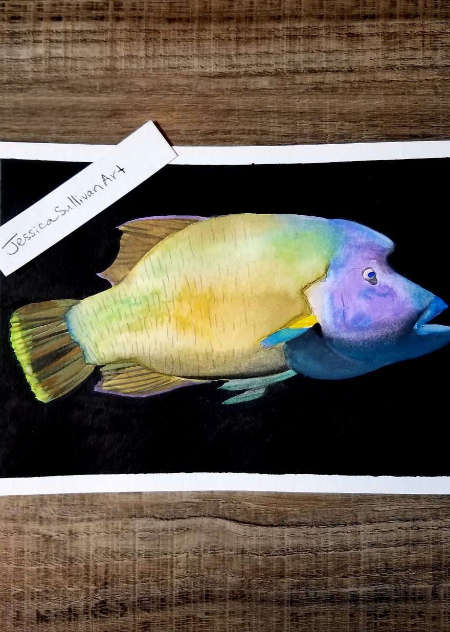 I Paint From Nature In My Spare Time As A Sahm. I Paint From Nature In My Spare Time As A Sahm.
