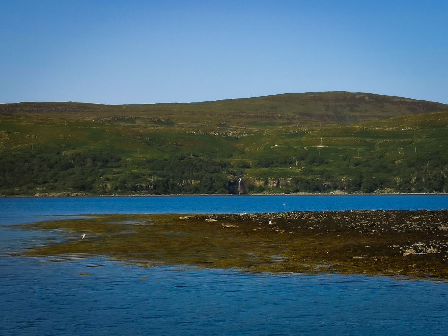 I Traveled To Scotland To See Its Beautiful Nature And Watch Rare Birds (32 Pics)