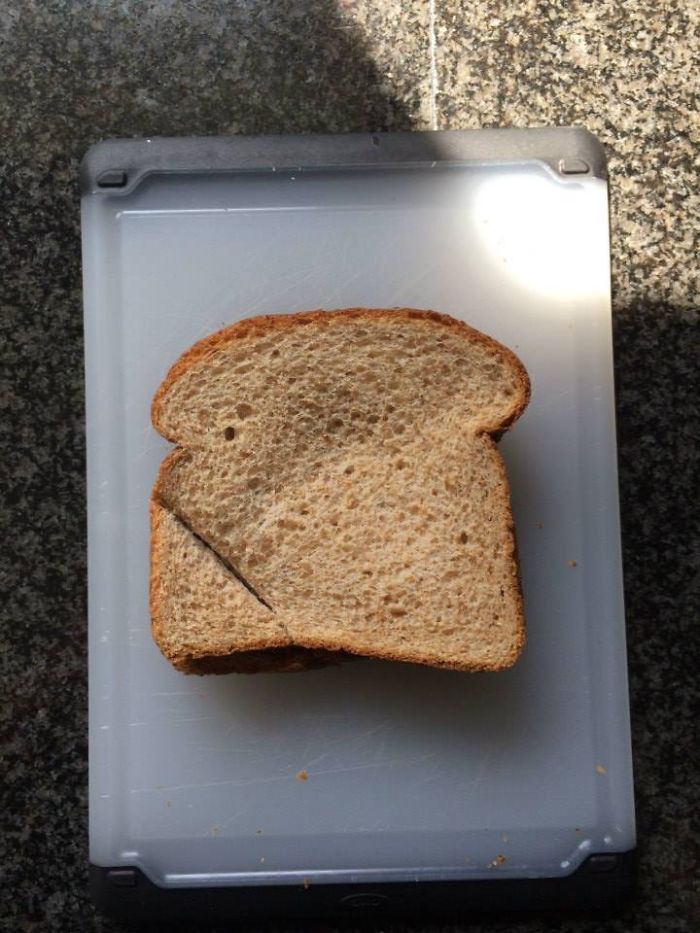 I Turned "Dad, You Cut My Sandwich The Wrong Way" Into A Fun And Memorable Lesson In Creativity