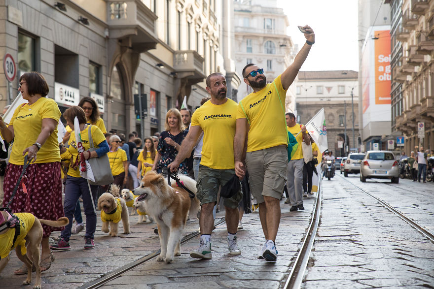 The City Of Dogs - Milan!