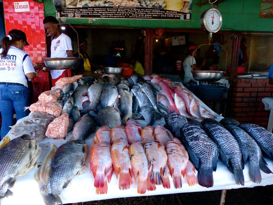 Mercado Bazurto In Colombia, Sept 2019