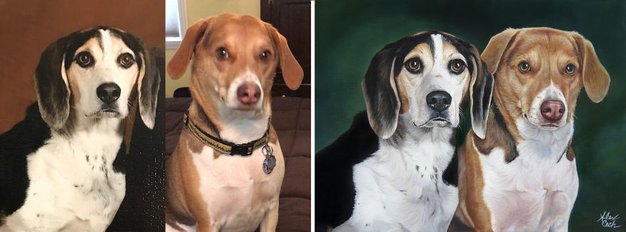 I Paint Pets From Photos, Here Are 12 Of My Favorite Before And Afters (Part 2)
