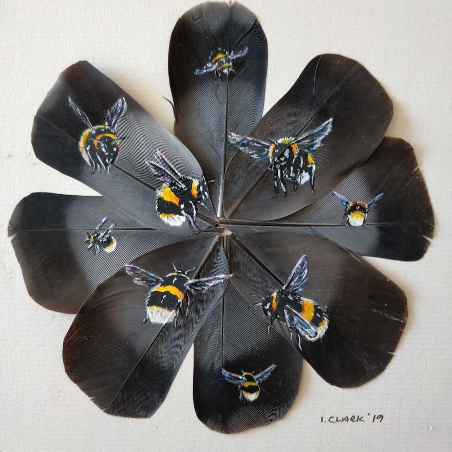UK Feather Artist Paints On Circles Of Feathers. 9 Photos