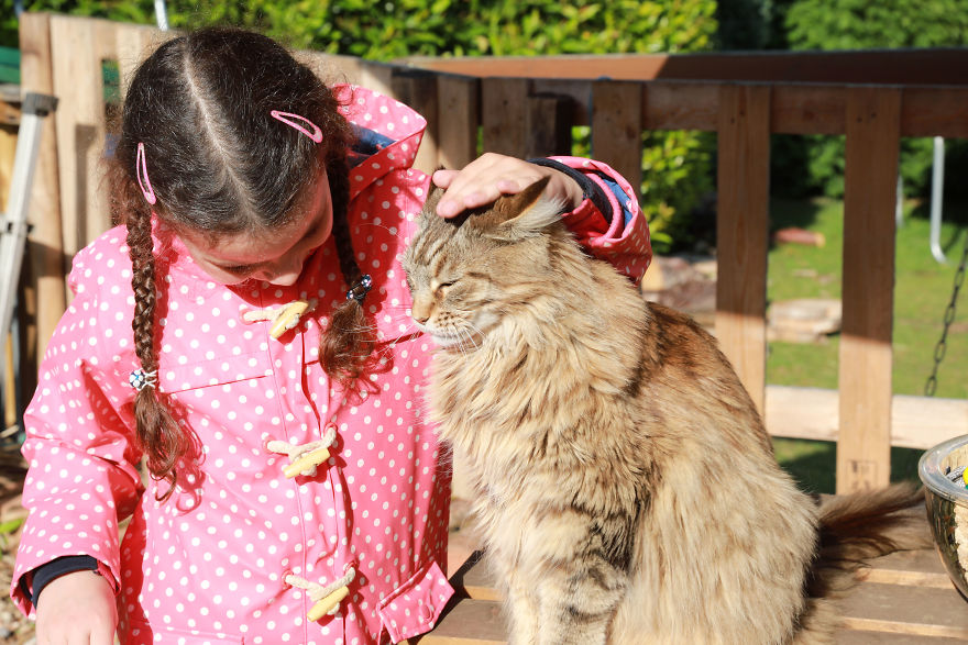 Meet Our Animals Who Help Special Needs Children In Ways That We, Humans, Struggle To