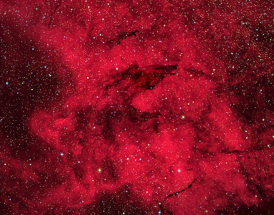 Stars And Nebulae: 'The Wolf Nebula: Sl-17' By Andrew Campbell